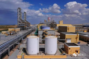 新杭能源與億利潔能首次注入乙二醇上市業務，拓展經營性演出及經紀業務新領域