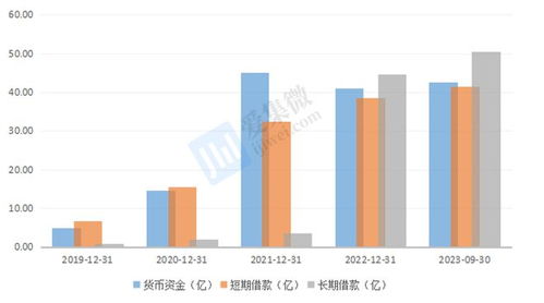 格科微布局中高像素CIS與自建Fab廠 短期財務承壓，長期戰略可期